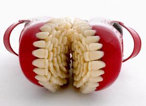 plushies with teeth