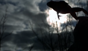 Screen Shot 2013-05-24 at 16.06.15