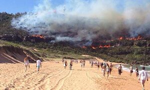 Northern beaches bushfires