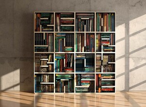 Read-Your-Bookcase-Bookshelf-02-685x502