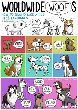 Animal-Sounds-in-Different-Languages-Dog-685x968