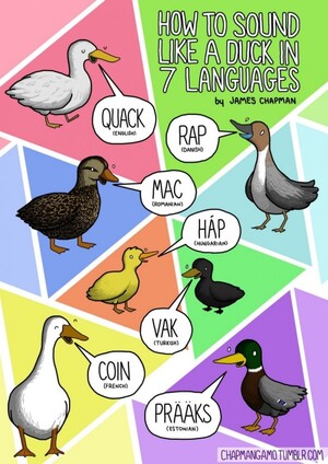 Animal-Sounds-in-Different-Languages-Duck-685x968