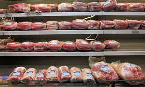 11/12/2008 Irish Pig Meats Scandals