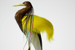 avian-architecture-and-bird-hairdos-by-karley-feaver-designboom-13