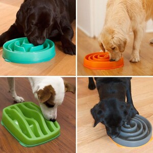 SloBowl-for-dogs