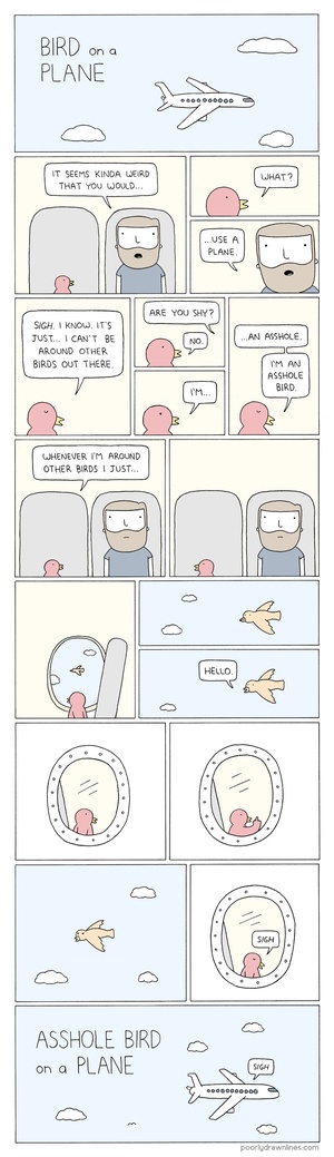bird-on-plane