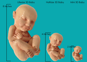 3d-printed-fetus-3