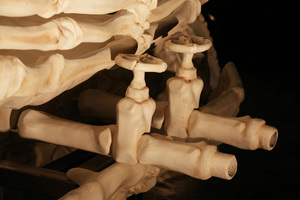 bone-vehicles-by-jitish-kallat-designboom-07
