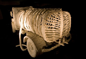 bone-vehicles-by-jitish-kallat-designboom-16