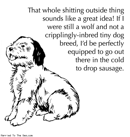 dog-thoughts-on-outside-shitting