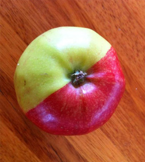 Rare-apple-mutation-found-in-Kingston-1