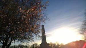 WP_20140310_17_23_50_Raw