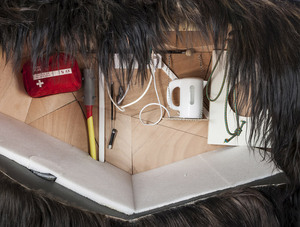abraham-poincheval-lives-inside-a-bear-carcass-for-two-weeks-designboom-03