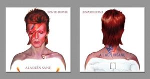 small_the_back_side_of_album_covers4