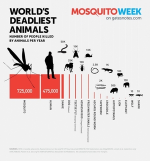small_worlds_most_deadliest_animals