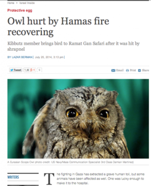 Screen Shot 2014-07-30 at 11.36.13