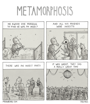 2014-09-19-metamorphosis