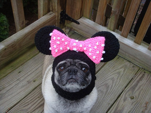 silly-hat-pug12