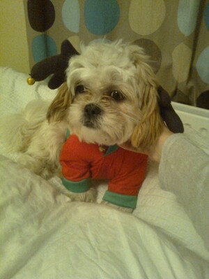 56022_10151340849837033_281218564_o-2