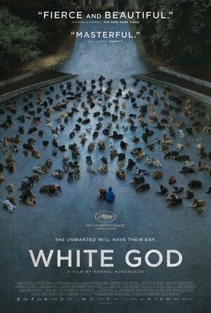 white-god-poster