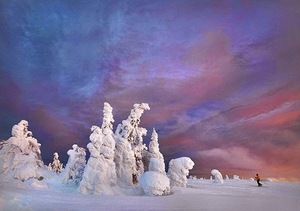 Frozen-Trees-Photography-2