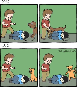 dogs-vs-cats
