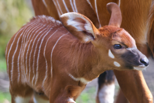 Screen Shot 2015-04-09 at 11.53.53