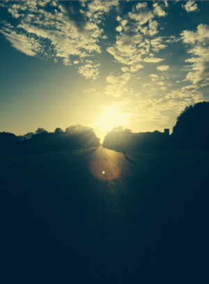 Screen Shot 2015-04-15 at 10.43.56