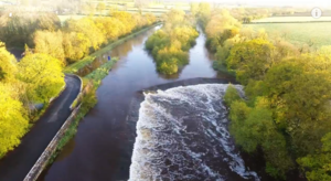 Screen Shot 2015-05-05 at 11.17.46