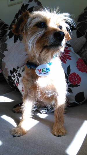 roly for yes