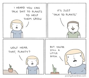 talk-to-plants