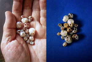pearl-skulls-2