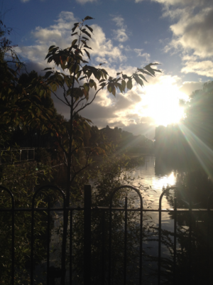 Screen Shot 2015-10-13 at 09.06.25