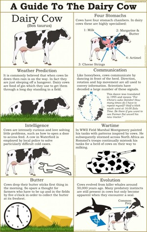 guidetocow