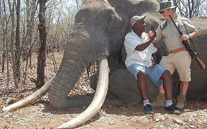nkombo-elephant_3473812b