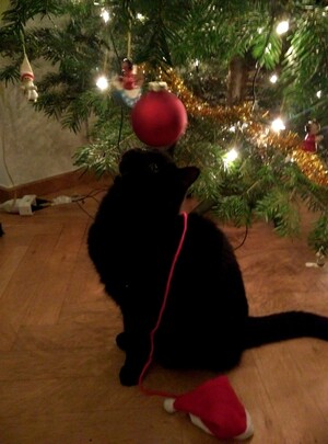 cat-christmas(1)