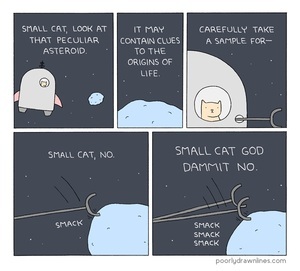 small-cat-and-the-asteroid