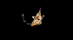 Screen Shot 2016-02-22 at 15.22.26