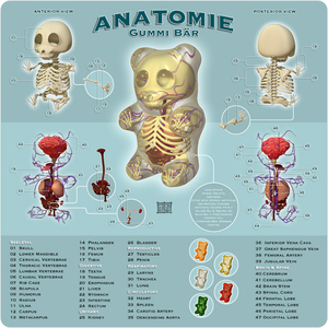 Anatomie_Gummi_Bar_by_freeny