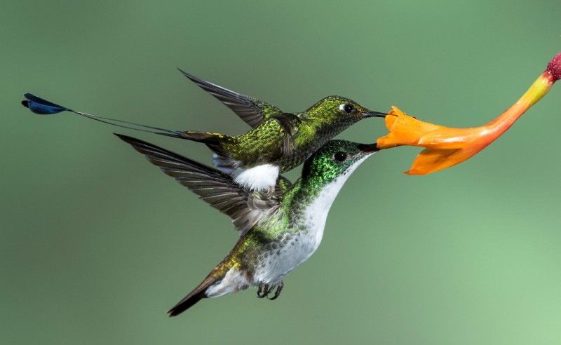 Screen Shot 2016-04-28 at 20.59.15