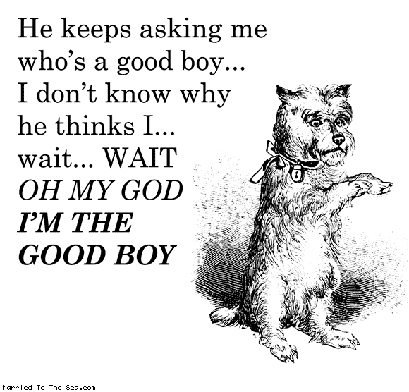 whos-a-good-boy