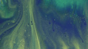 Screen Shot 2016-07-12 at 10.46.39