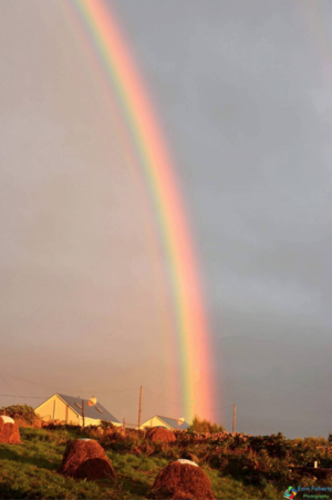 Screen Shot 2016-08-22 at 13.15.41