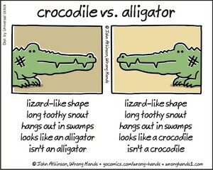 crocodile-vs-alligator