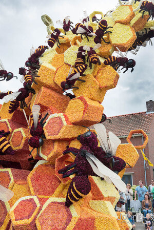 flower-sculpture-parade-corso-zundert-2016-netherlands-32