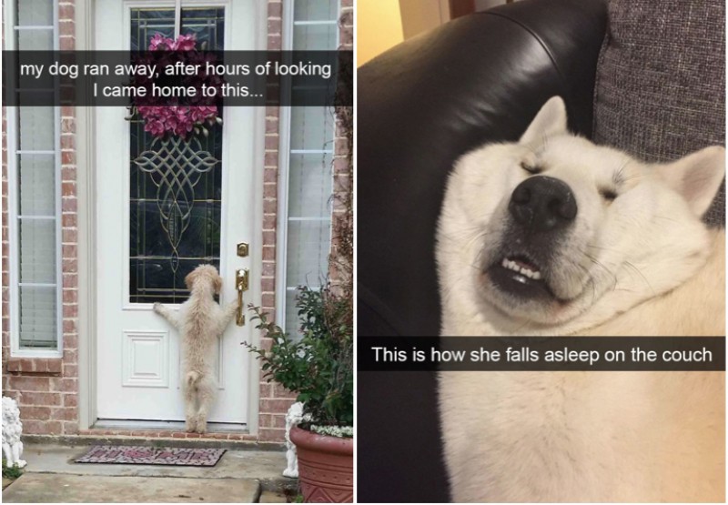 screen-shot-2016-11-07-at-14-47-06