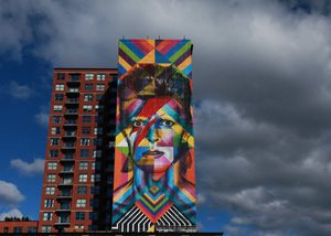 brooklyn-street-art-kobra-jaime-rojo-11-06-16-web-1