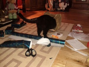 411517_507316389364_15221170_o