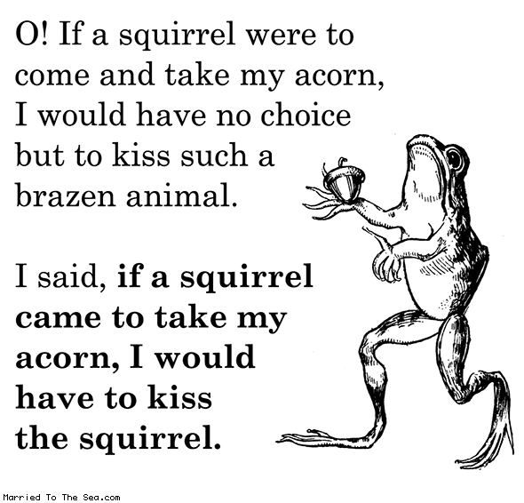 a-squirrel-take-my-acorn