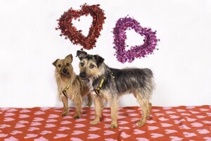 Main Photo White smaller